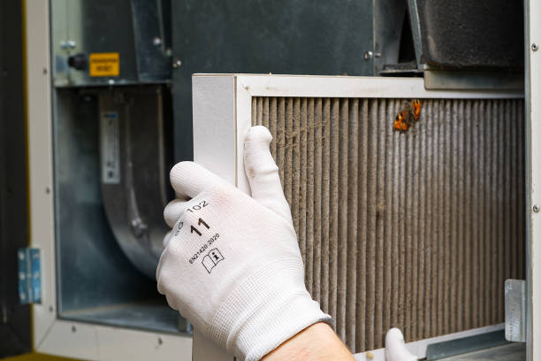 Best Professional Duct Cleaning Services  in Cherryvale, SC